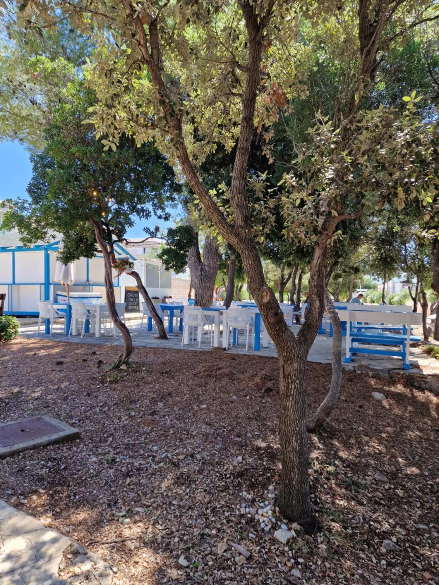 Residence-Apartment-Giuliano-Punta Skala, Petrcane Esterno foto